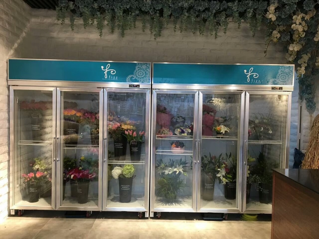 6 Glass Door Commercial Display Refrigerator 380V 3200L Durable