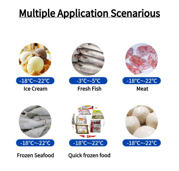 880W Removable Stainless Steel Upright Commercial Freezer Multiclimate