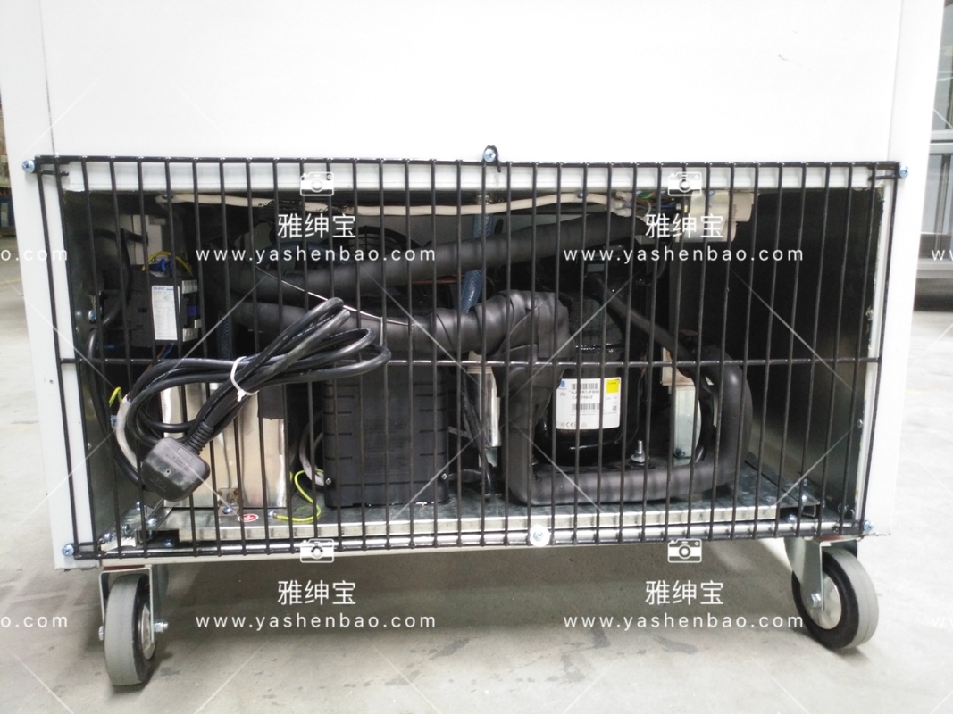 880W Removable Stainless Steel Upright Commercial Freezer Multiclimate