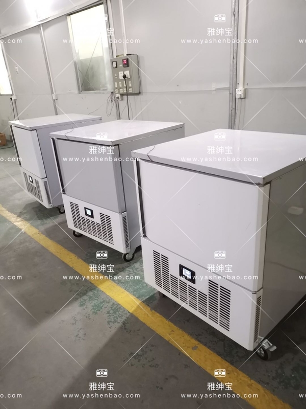 Commercial Blast Kitchen Fridge Freezer 550W For Dumplings Seafood